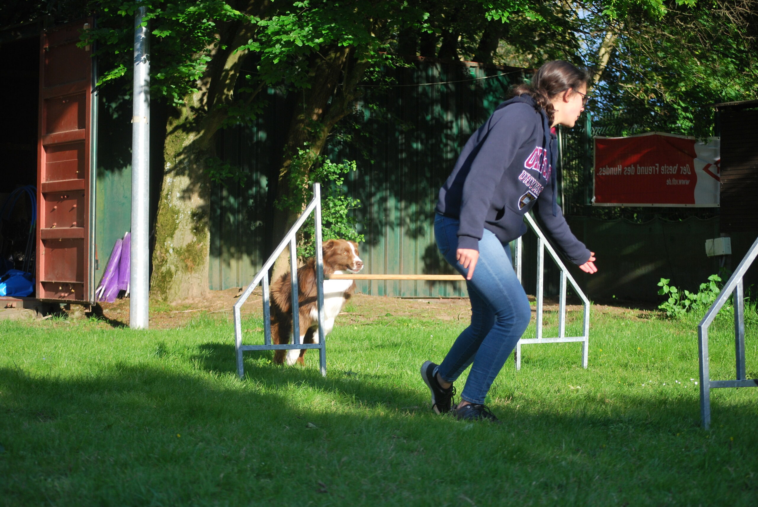 Rally Obedience SV-OG Großauheim, Hanau Rally Obedience SV-OG Großauheim, Hanau