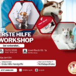 Erste Hilfe am Hund – Workshop inkl. Handout & Teilnahmebescheinigung
